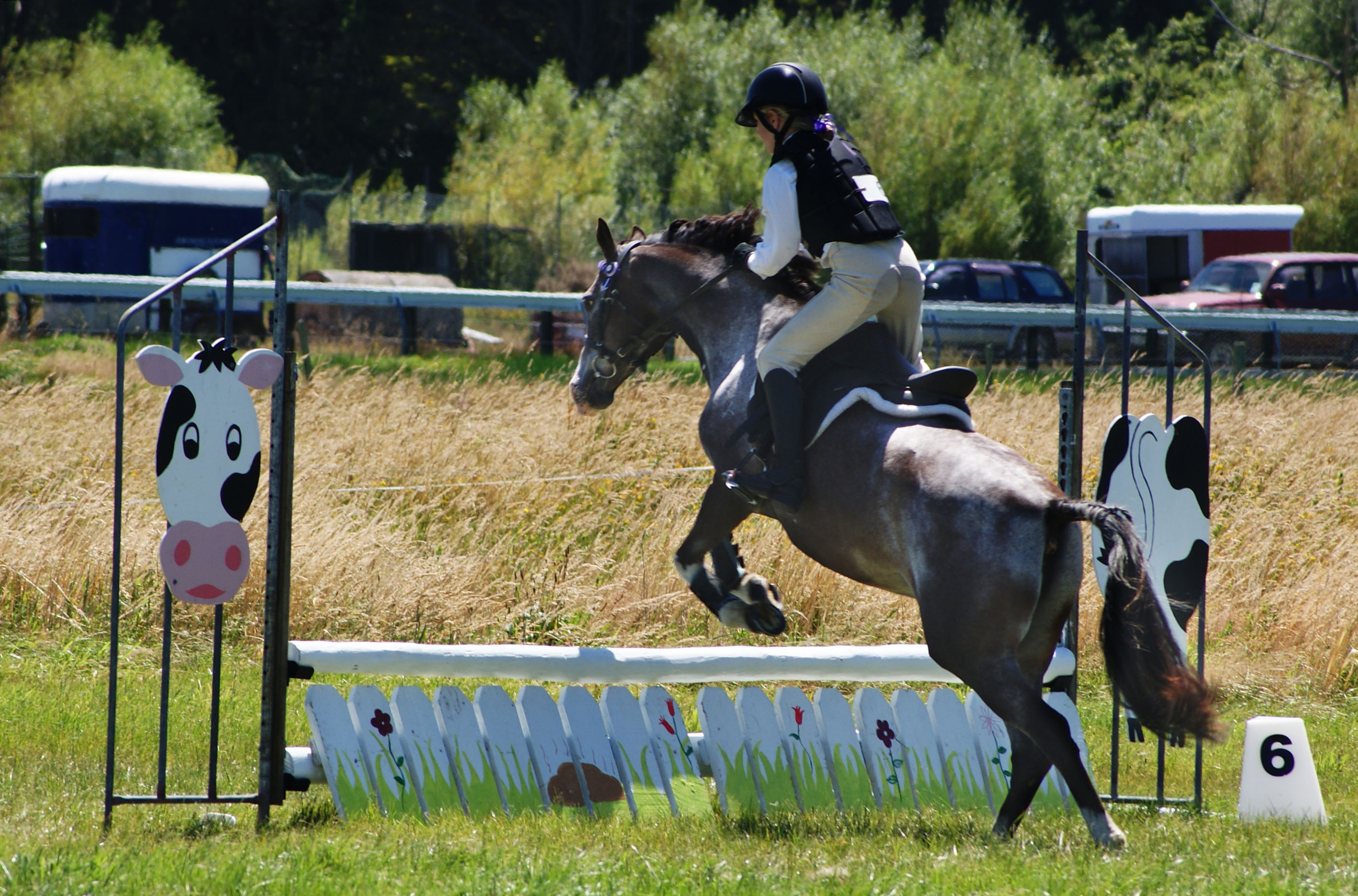 A rider jumping at the Westland A & P Show