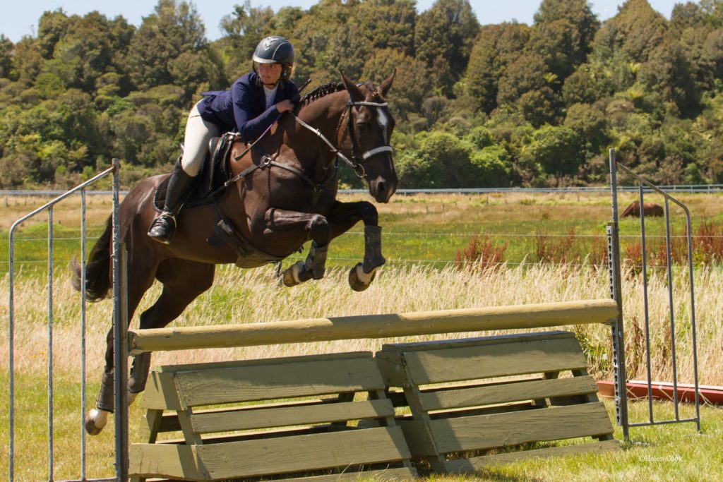 A horse and rider competing in the horse section